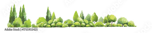 Vector watercolor green lush or forest side view isolated on white background for landscape and architecture drawing,elements for environment or and garden,Shrub for section