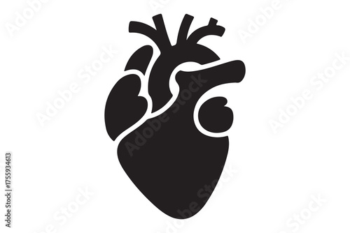 Human heart silhouette icon illustration in black color isolated on white background
