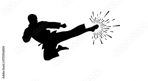 Dynamic martial artist executes powerful spinning kick with explosive impact, embodying strength and precision in a striking silhouette.