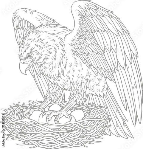 Protective Eagle Standing on Nest with Eggs Detailed Line Art Vector Illustration