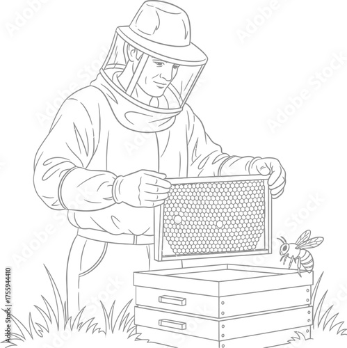 Beekeeper holding honeycomb frame inspection line art drawing illustration