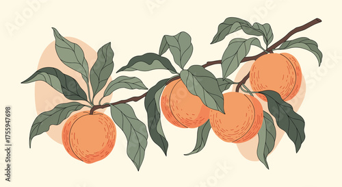A close up of a branch with several oranges and leaves growing on it.