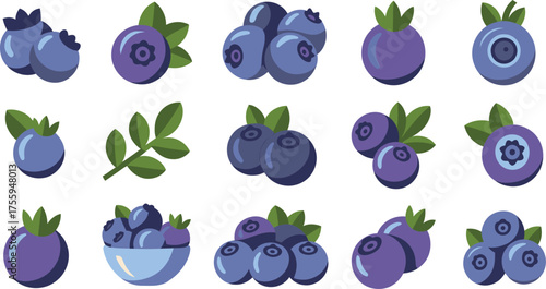Cartoon Style Blueberries with Leaves Isolated on White Background Fresh Fruit Illustration
