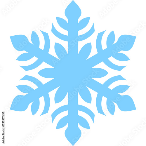 Winter Snowflake Element