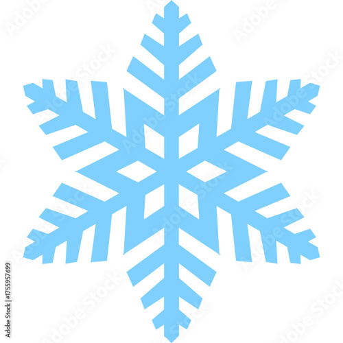 Winter Snowflake Element