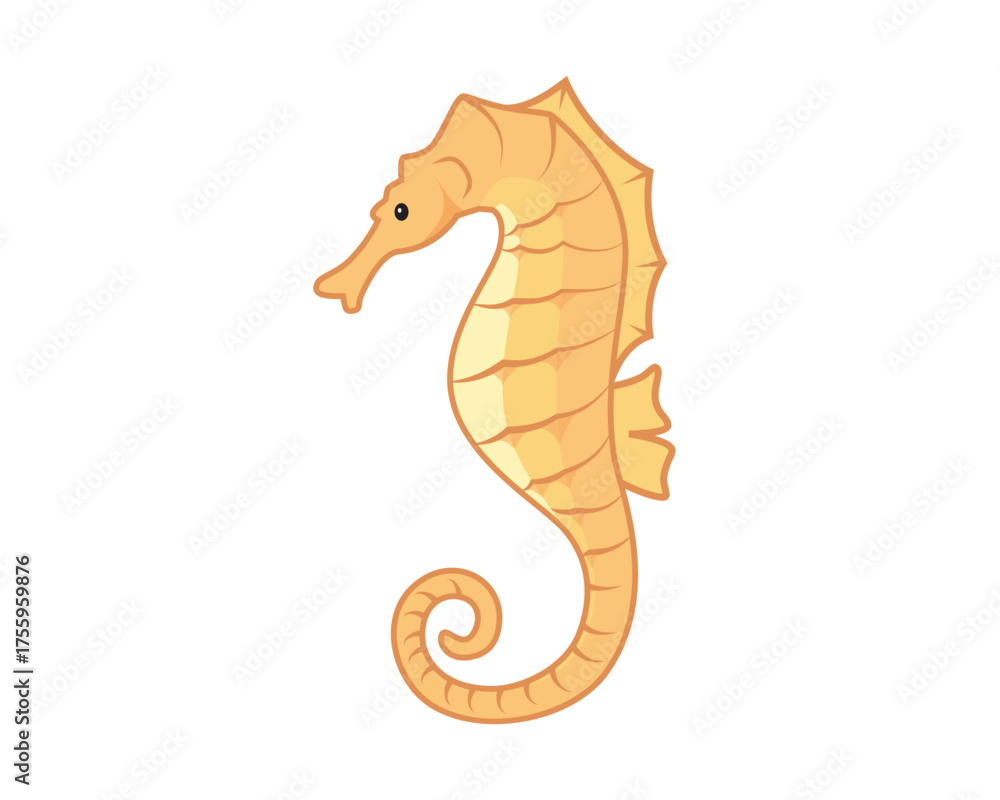 Fototapeta premium Beautiful Seahorse Sea Animals Illustration