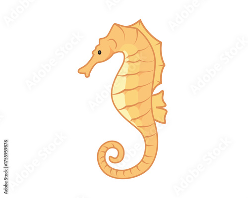 Beautiful Seahorse Sea Animals Illustration