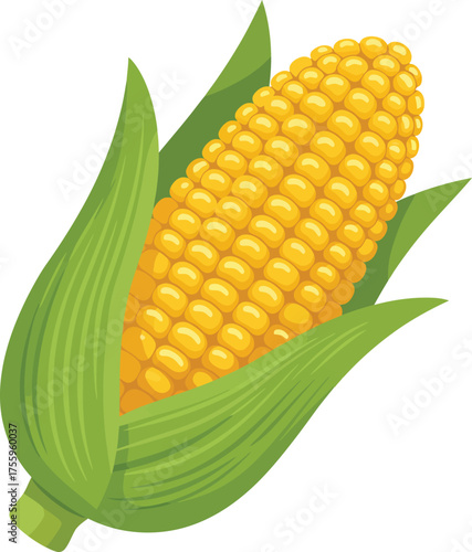 Bright yellow corn cob with green leaves fresh harvest healthy food organic natural ingredient isolated on transparent background