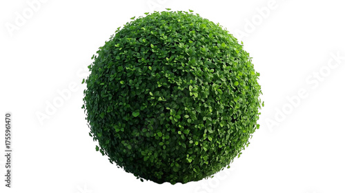 A perfectly round green bush shaped sphere against a black background