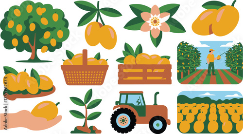 Mango Harvest Illustration Tree, Flower, Tractor, Picking, Basket, Crate, Field, Hand, Seedling, and Farmer