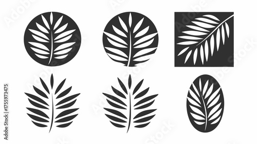 Collection of six stylized leaf designs in various shapes and orientations on a white background | editable eps vectors silhouette
