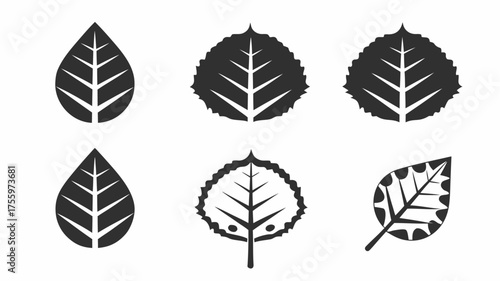 Illustration of six stylized leaves with varying shapes and internal vein structures in monochrome tones | editable eps vectors silhouette