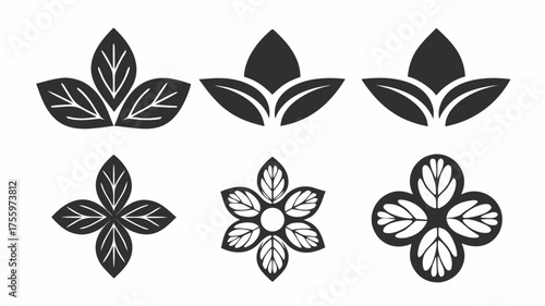 Illustration of six floral and leaf designs in black and white with varied arrangements and patterns | editable eps vectors silhouette