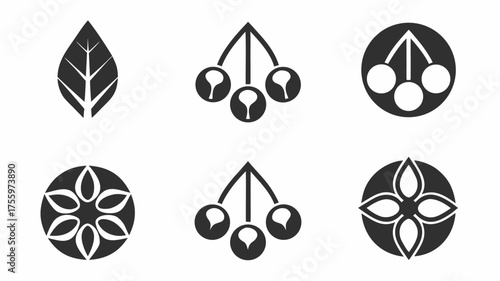 Illustration of six different botanical icons including a leaf, berries, and floral arrangements in black and white | editable eps vectors silhouette