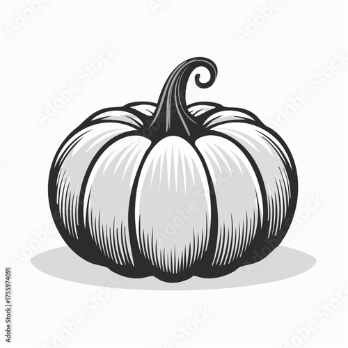 Pumpkin - squash for Halloween or Thanksgiving flat color icon for apps and websites