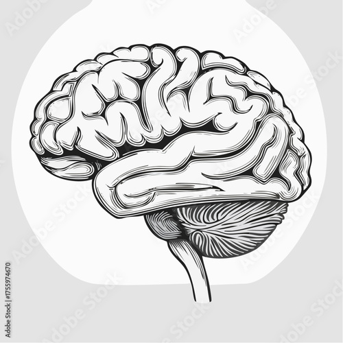 Brain or mind side view line art vector icon for medical apps and websites