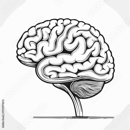 Brain or mind side view line art vector icon for medical apps and websites