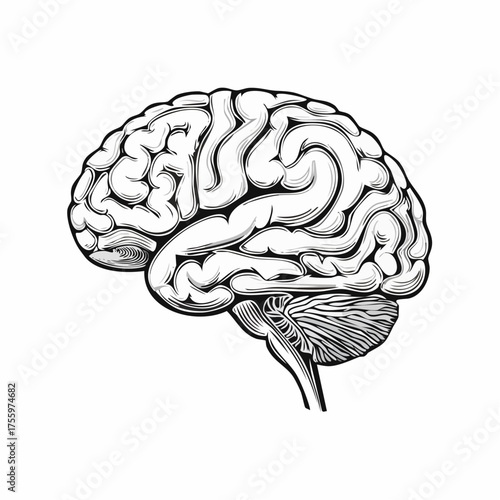 Brain or mind side view line art vector icon for medical apps and websites