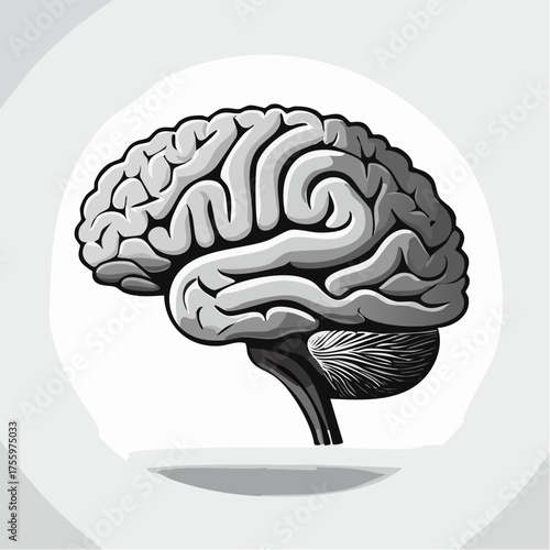 Brain or mind side view flat vector icon for medical apps and websites