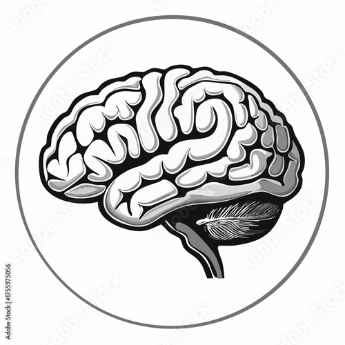 Brain or mind side view flat vector icon for medical apps and websites