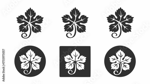 Illustration featuring six stylized grape leaf designs in varying arrangements and background shapes exactly | editable eps vectors silhouette