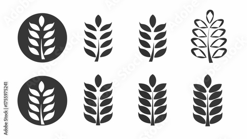 Illustration showing eight wheat stalk icons in varying styles on a white background in monochrome tone | editable eps vectors silhouette