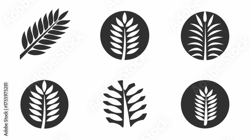 Collection of six stylized wheat or grain stalk icons in various arrangements and orientations | editable eps vectors silhouette