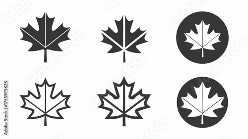Illustration showing six maple leaf icons in various styles and arrangements on a white background design element | editable eps vectors silhouette