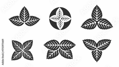 Collection of six leaf arrangements in black and white featuring various leaf counts and orientations | editable eps vectors silhouette