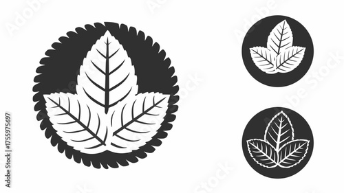 Illustration of three leaves arranged in a circular pattern with two smaller leaf icons on the right side | editable eps vectors silhouette