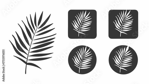 Silhouette of a palm frond and icons featuring the frond inside of circles and rounded squares shapes | editable eps vectors