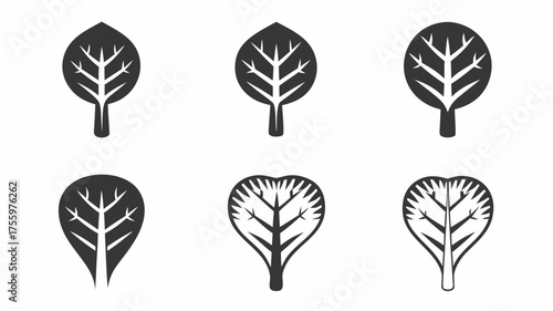 Collection of six stylized tree icons with varying leaf shapes and branch arrangements displayed | editable eps vectors silhouette