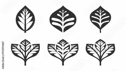 Illustration of six stylized black leaf designs with varying shapes and internal vein structures arranged evenly | editable eps vectors silhouette