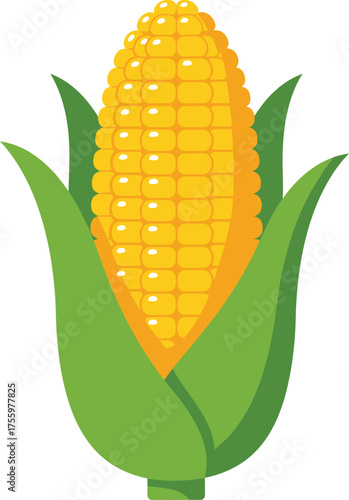 Bright yellow corn cob with green leaves freshly harvested agricultural food ingredient isolated on transparent background