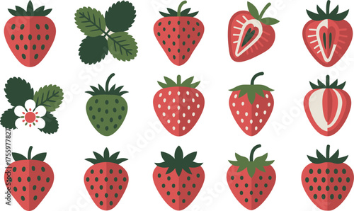 Stylized Strawberries Red, Green, Halved, and Flowering Plant in Illustration Format Isolated