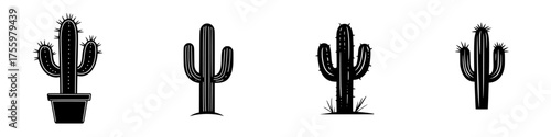 Cacti varieties displayed in simple black and white illustration showcasing their unique shapes and features