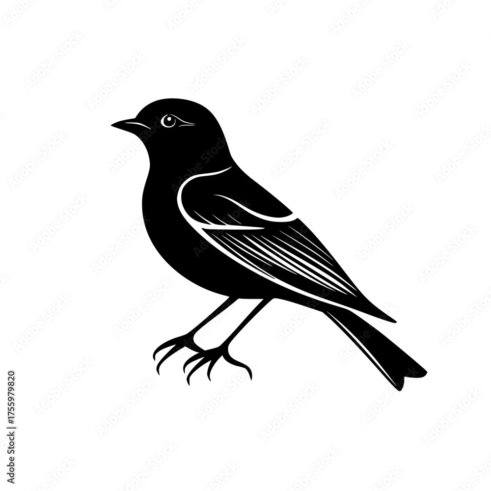 Obraz premium Black bird perched gracefully on a branch against a clean white background in a minimalist design style