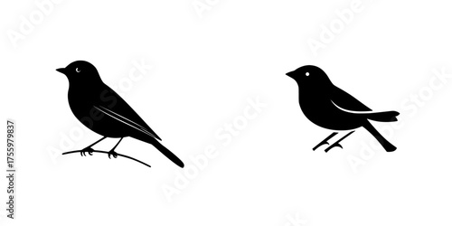 Black birds perched on branches showcasing distinct silhouettes against a minimalistic background during daytime