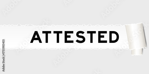 Ripped gray paper background that have word attested under torn part