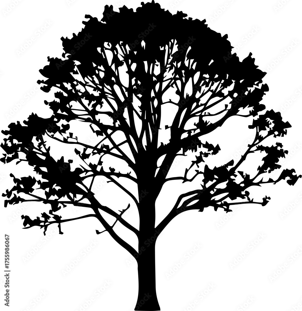 Obraz premium Vector silhouette of a tree, symbolizing nature life