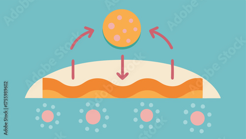 Barrier Protection An illustration showing exosomes strengthening the skin barrier with arrows representing protection against environmental factors.