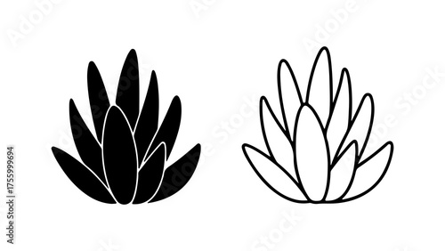 Succulent plants outline with transparent background