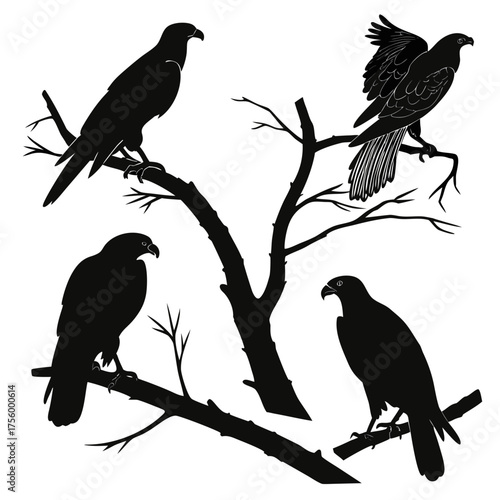 Four silhouettes of birds of prey perched on bare tree branches against a white background