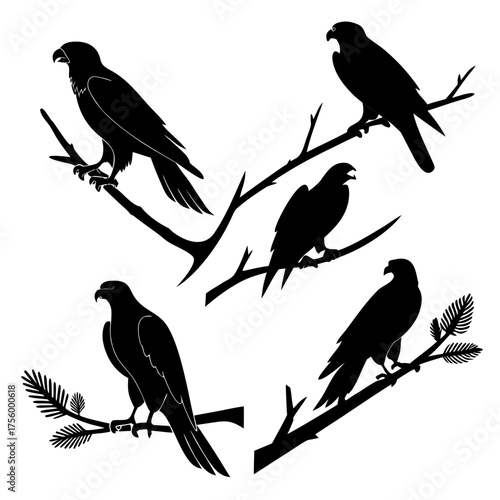 A collection of five black silhouette raptor birds perched on tree branches against a white background