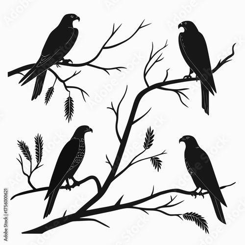 Four black silhouette birds of prey perched on bare tree branches with feathery leaves on a white background