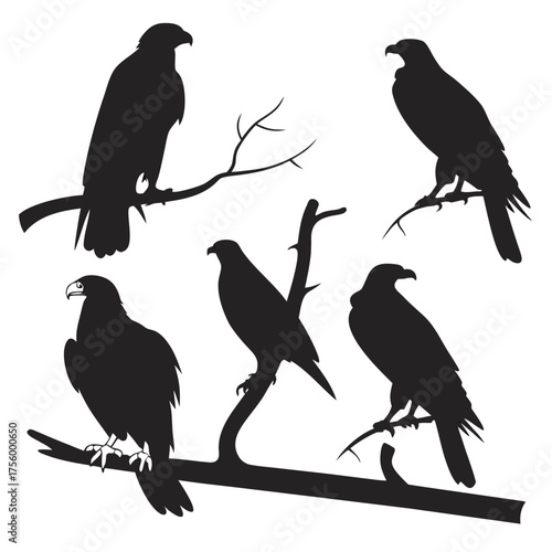 Collection of five black silhouette raptor birds perched on tree branches against a white background