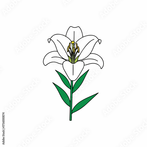 Simple illustration of a white lily flower featuring delicate petals, vibrant green leaves, and a prominent yellow stamen. This botanical imagery represents purity, beauty,