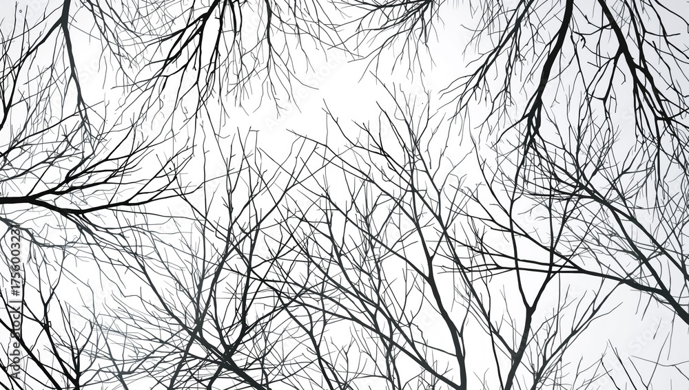 Obraz premium Seamless 2D pattern featuring branches against a white backdrop