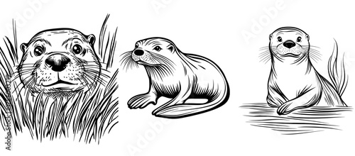 Illustration of an otter in black and white silhouette, featuring a curved body and prominent whiskers