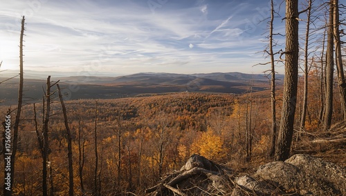 Endless autumn taiga spreading from the summit of a mountain crater ridge.